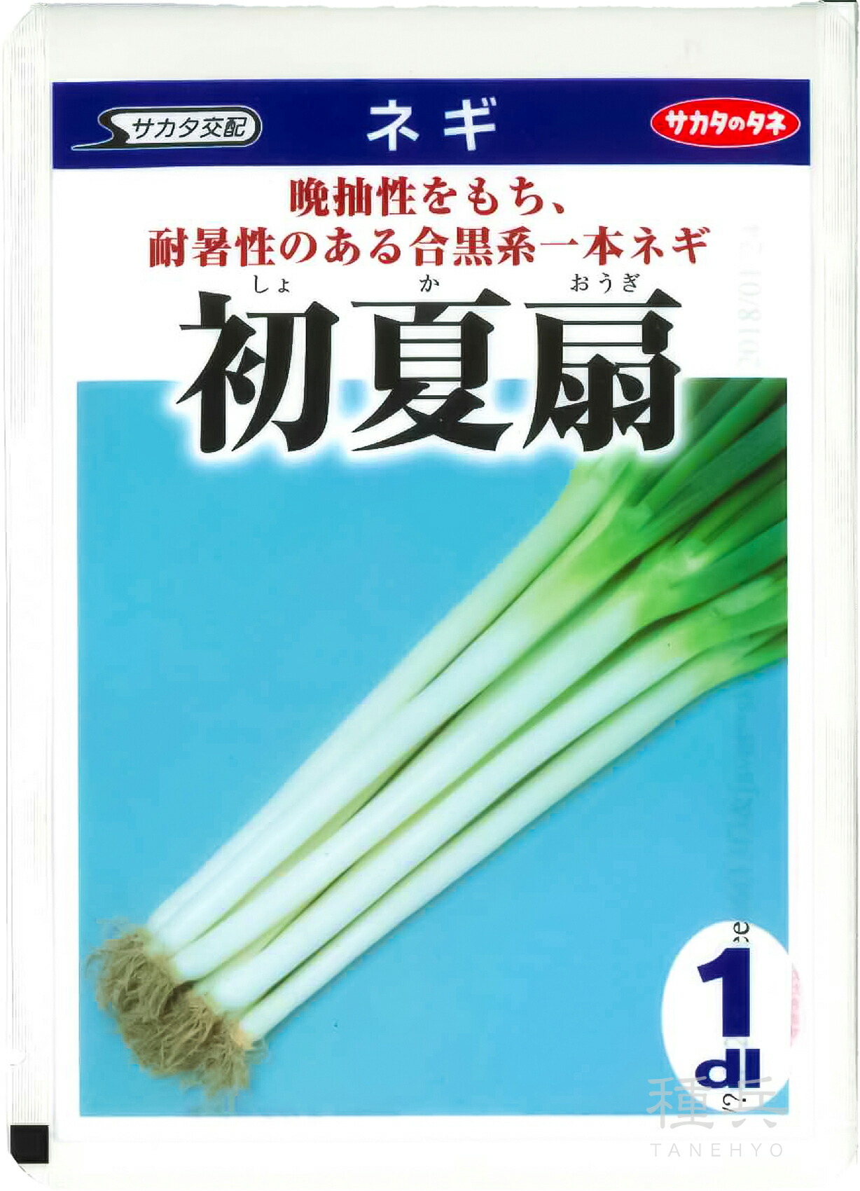 楽天市場】ネギ 種 『冬扇シオン』 サカタのタネ : 種兵ネットショッピング