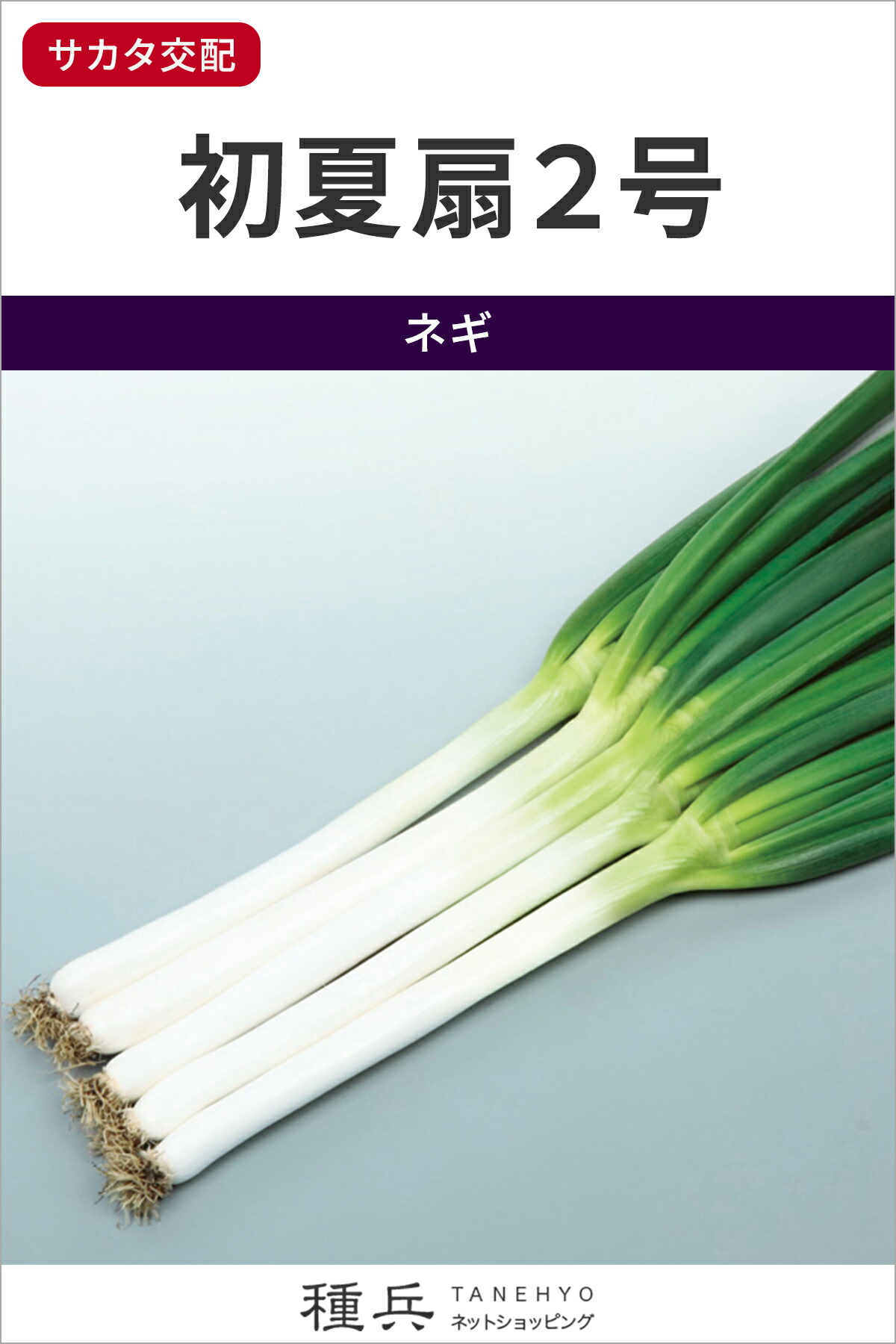ネギ 種 『初夏扇２号』 サカタのタネ 6,247円