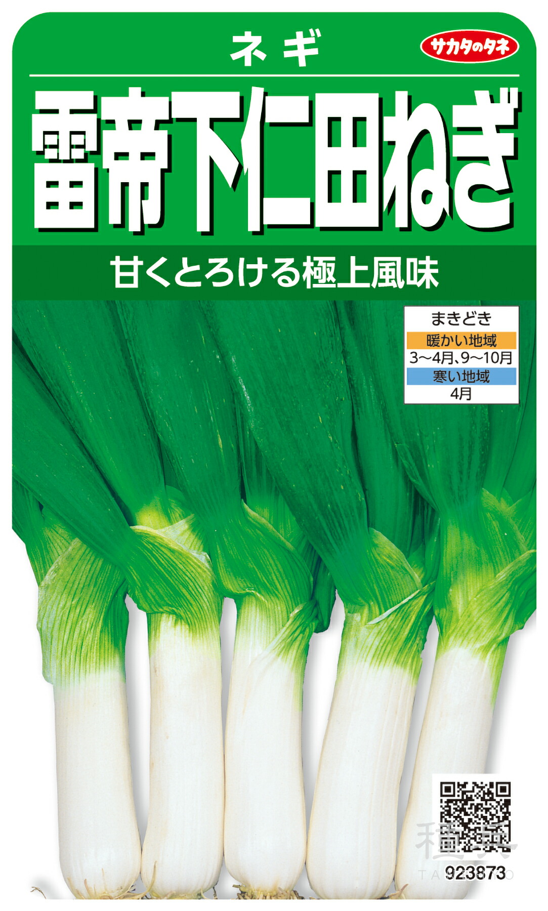 楽天市場】ネギ 種 『冬扇シオン』 サカタのタネ : 種兵ネットショッピング