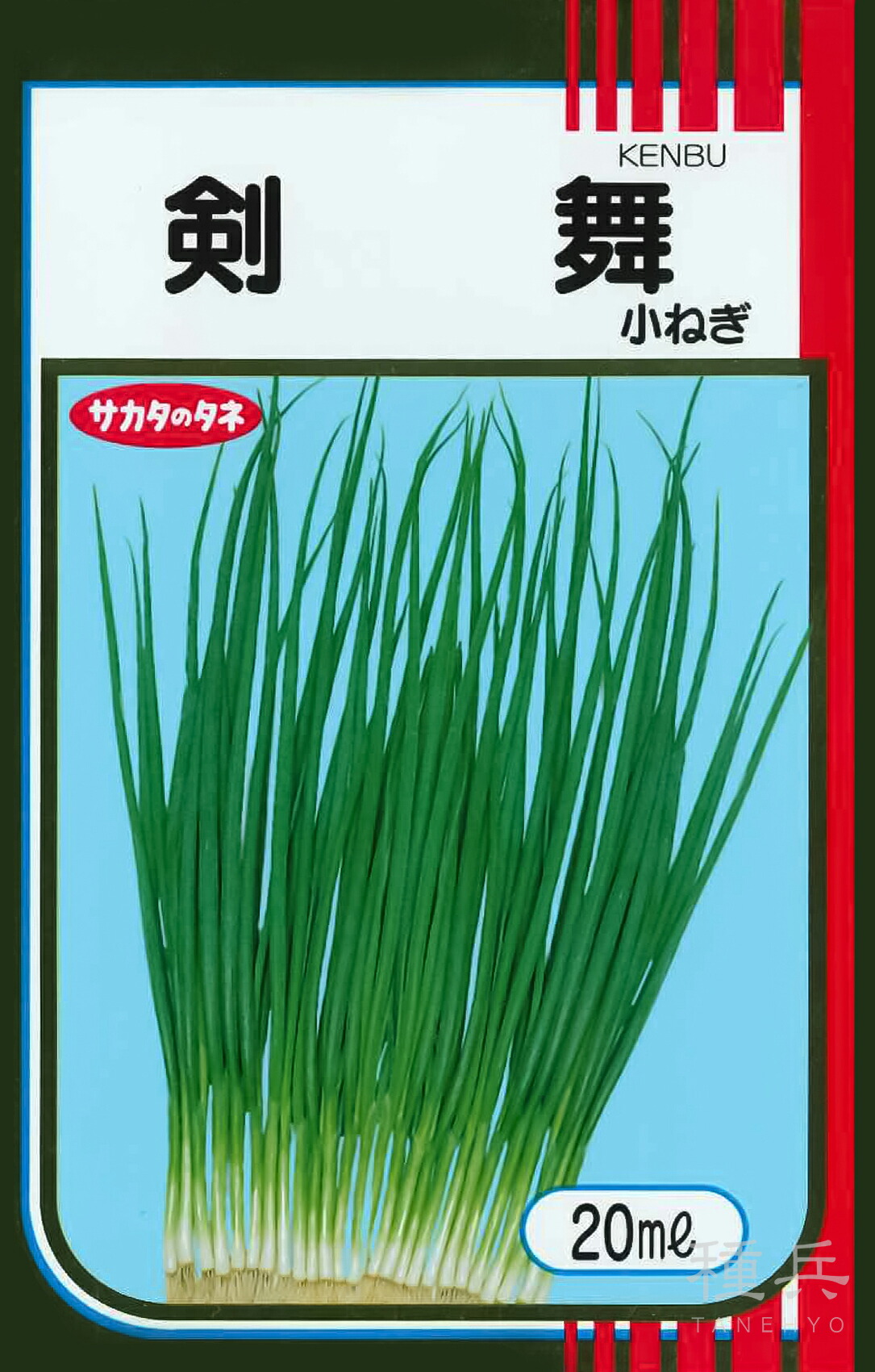ネギ　冬扇シオン　6000粒　3袋　有効期限９月 ネギ 冬扇シオン 6000粒 3袋 有効期限9月 ネギ 種 『冬扇