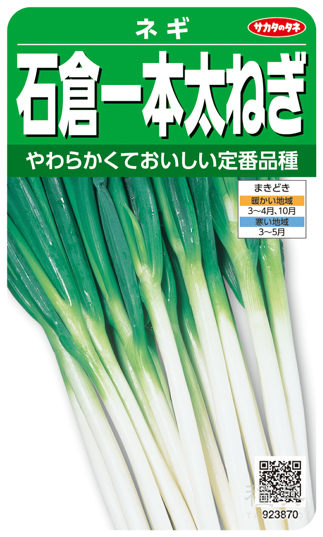 楽天市場】ネギ 種 『冬扇シオン』 サカタのタネ : 種兵ネットショッピング