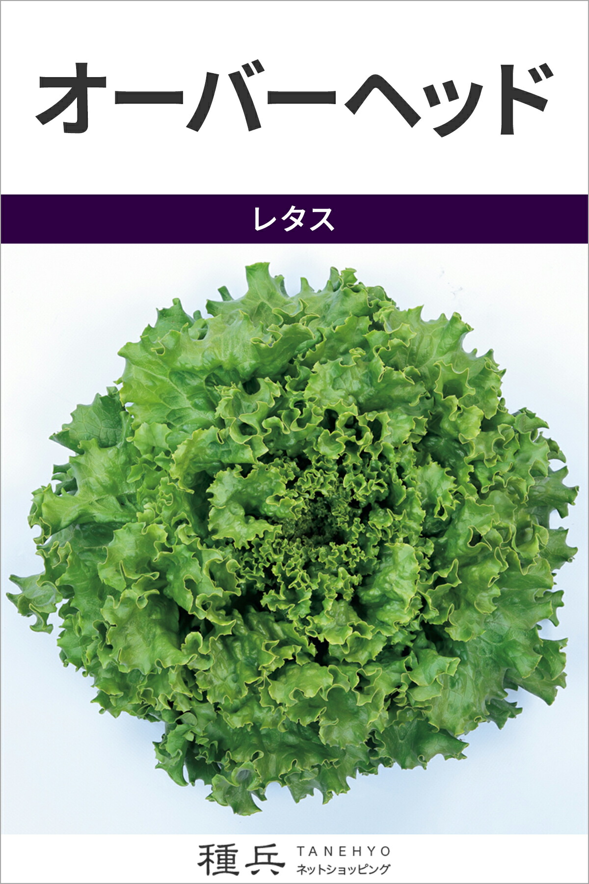 岩礁萵苣 種 『厚地の外套上端』  サカタのタネ