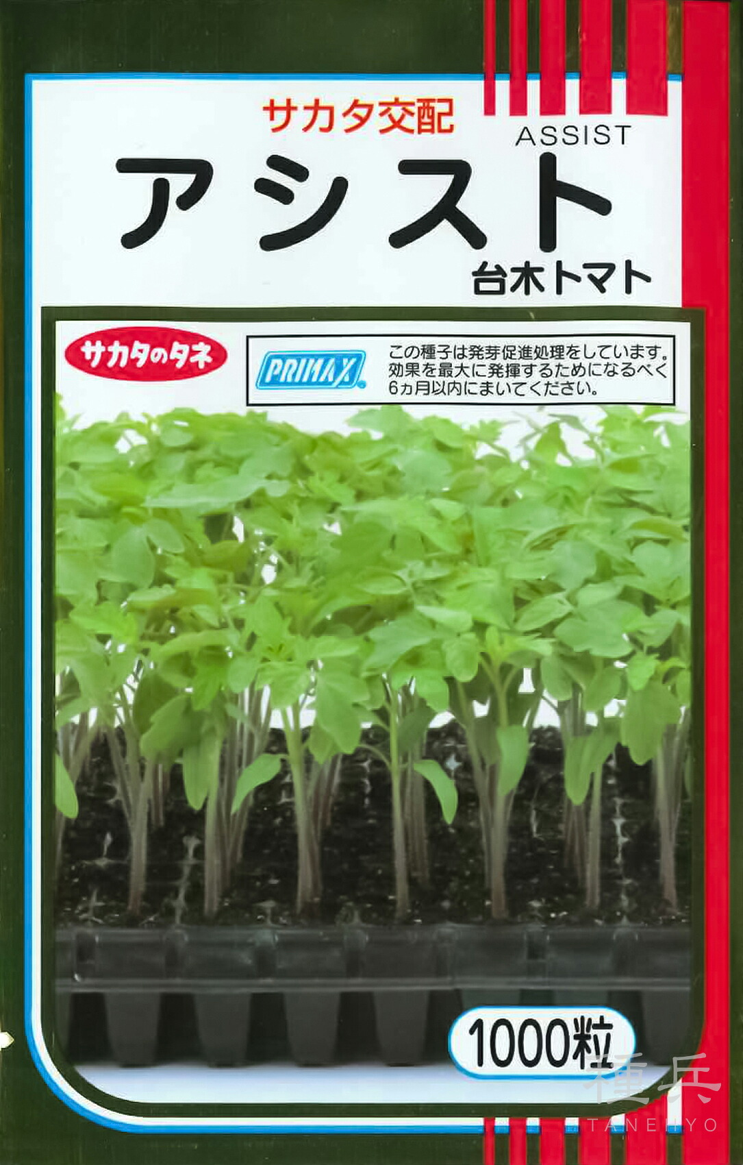 台木用トマト 種 『アシスト』 サカタのタネ|種兵ネットショッピング