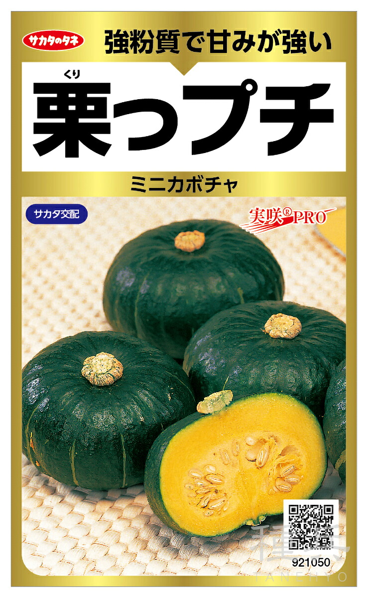 西洋カボチャ 種 『栗っプチ』  サカタのタネ