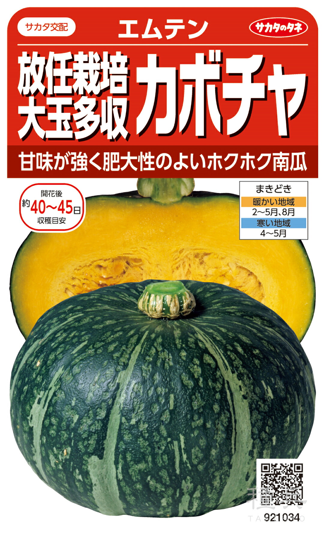 西洋カボチャ 種 『エムテン』  サカタのタネ