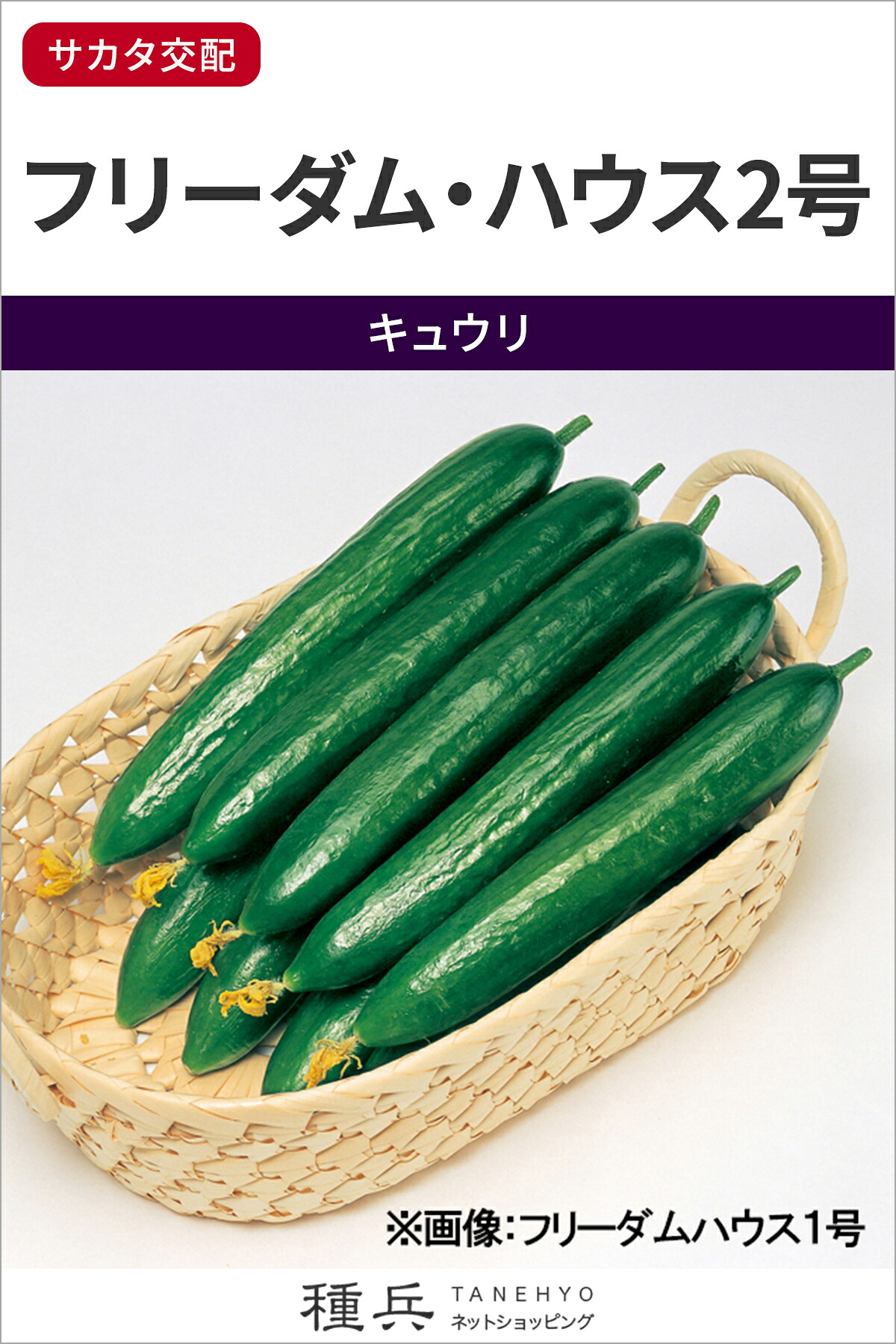 キュウリ 種 『フリーダム・ハウス2号』 サカタのタネ