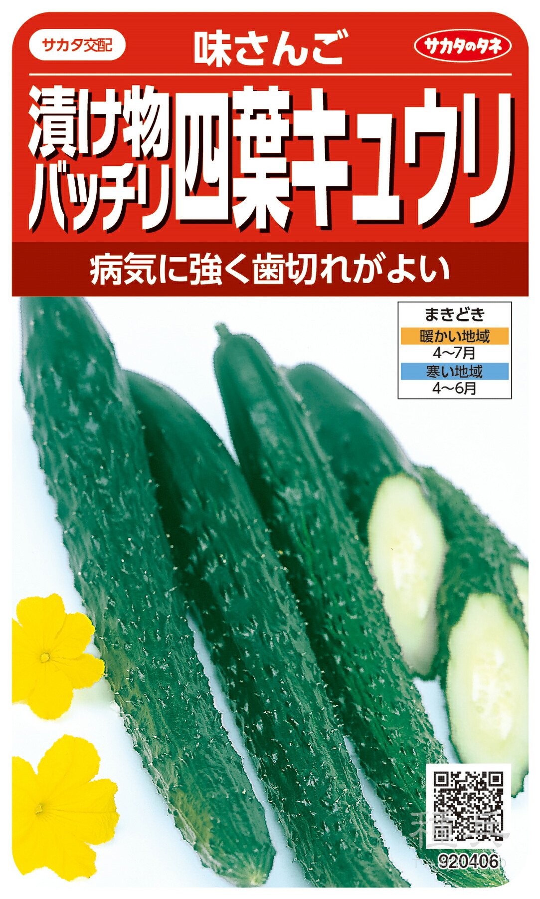 四葉キュウリ 種 『味さんご』 サカタのタネ