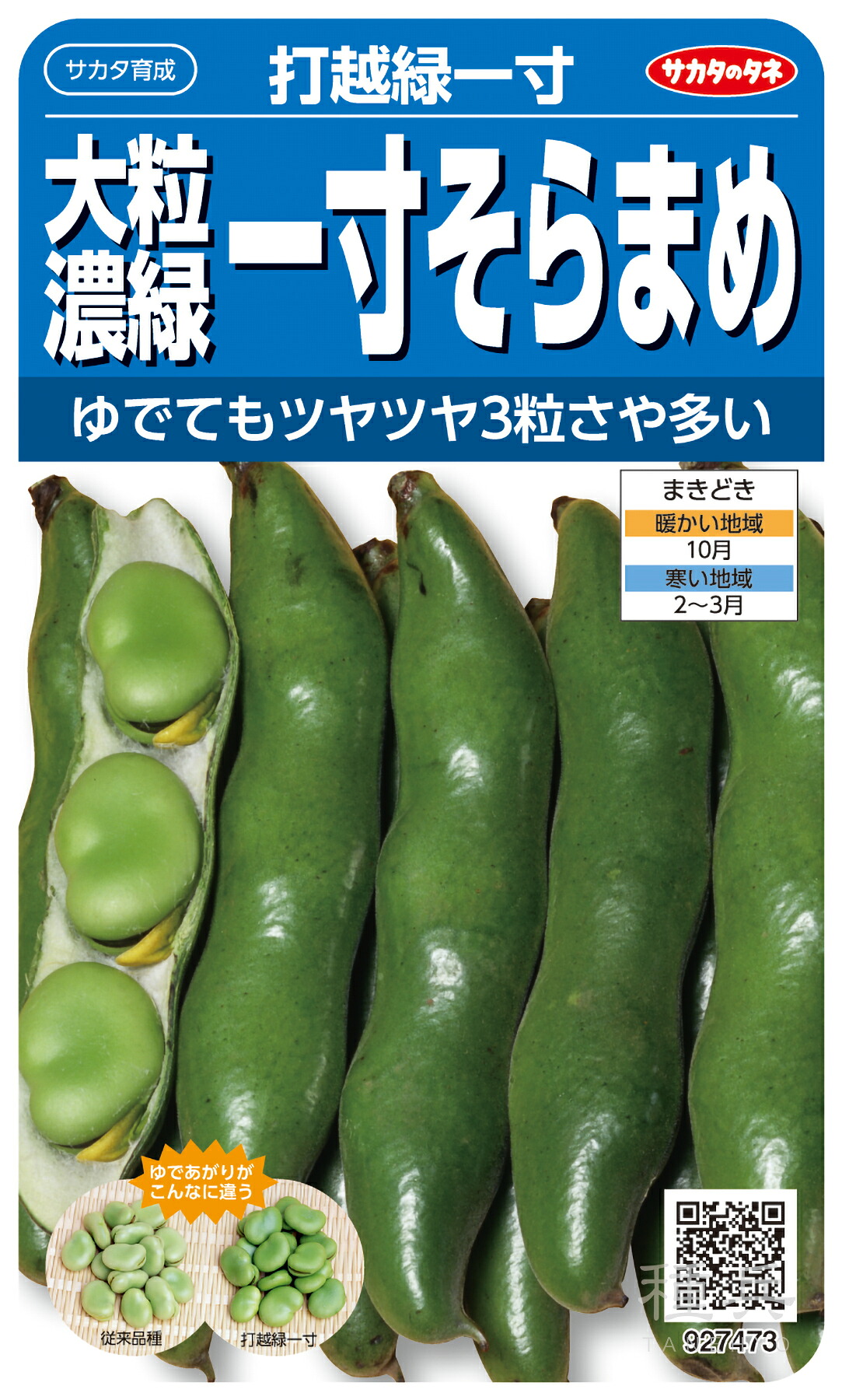 ソラマメ 種 『打越緑割りかし』  サカタのタネ
