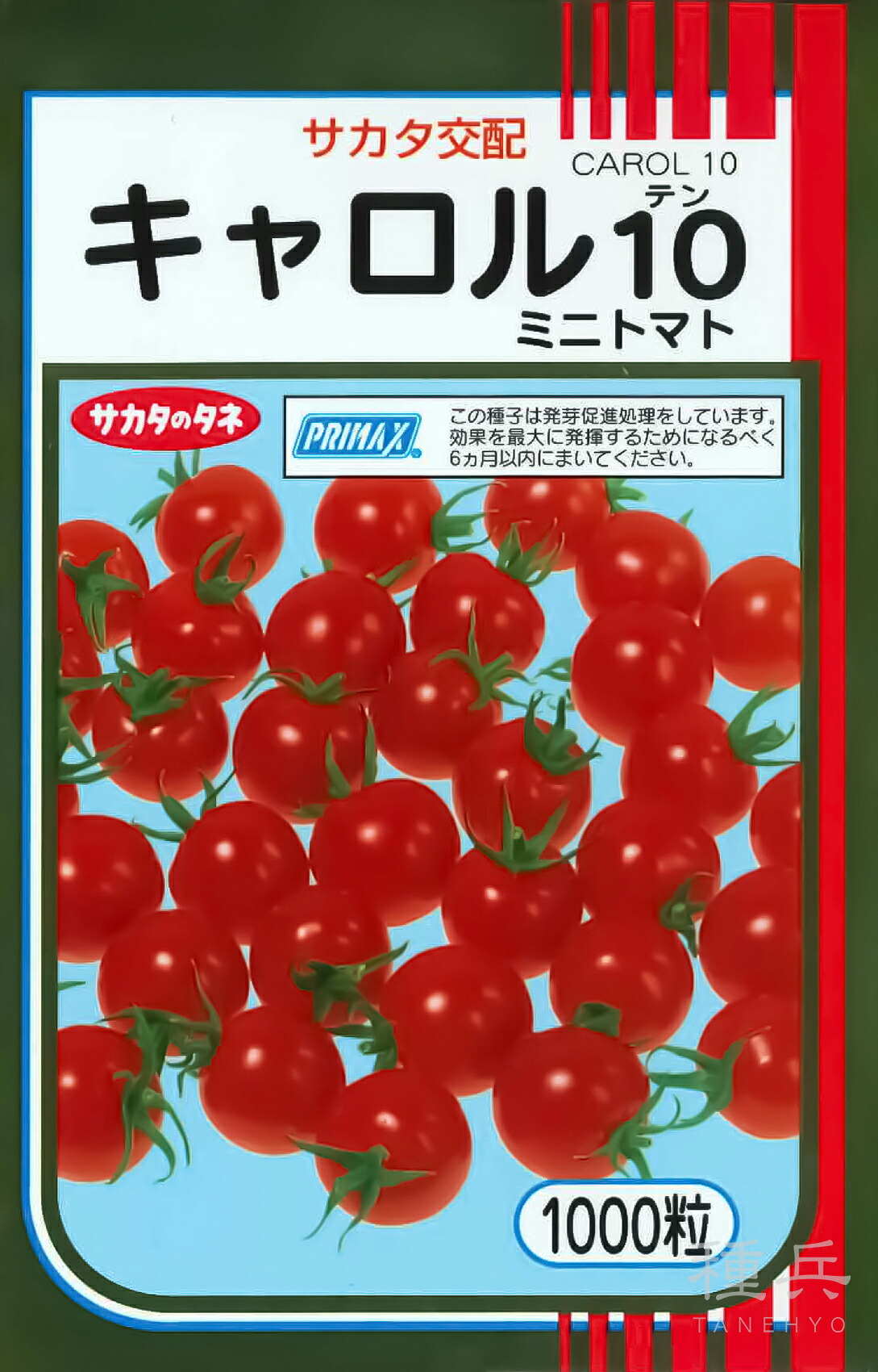 ミニトマト 種 『キャロル10』 サカタのタネ