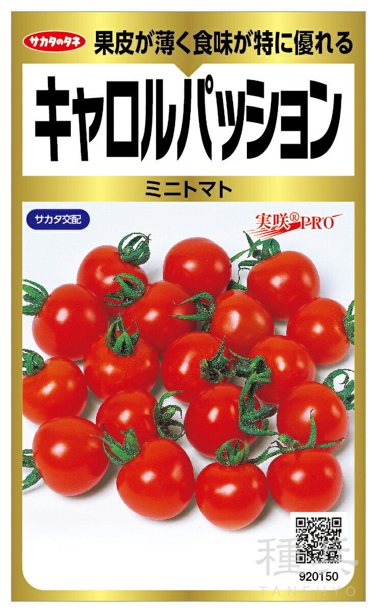 ミニ赤茄子 種 『キャロル向かっ腹』  サカタのタネ