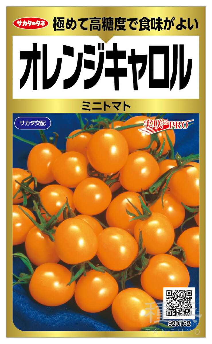 楽天市場】ミニトマト 種 『TYオレンジミニトマト（TSX-019