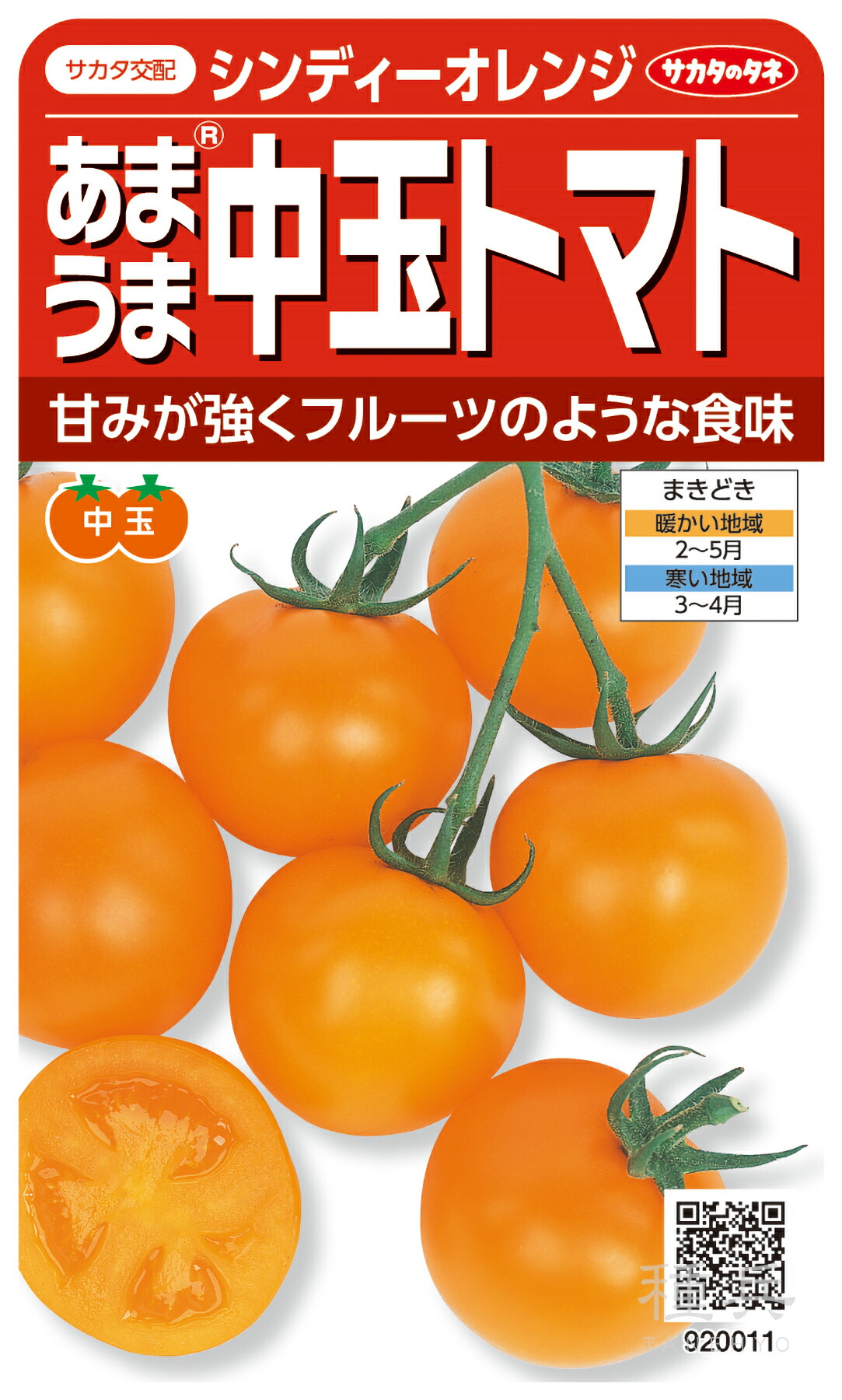 中玉赤茄子 種 『シンディーオレンジ』  サカタのタネ