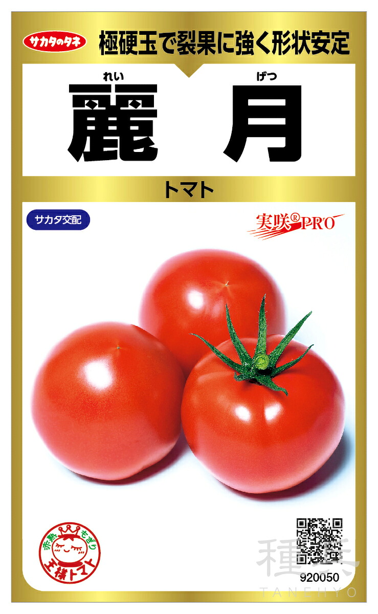 大玉赤茄子 種 『麗月』  サカタのタネ