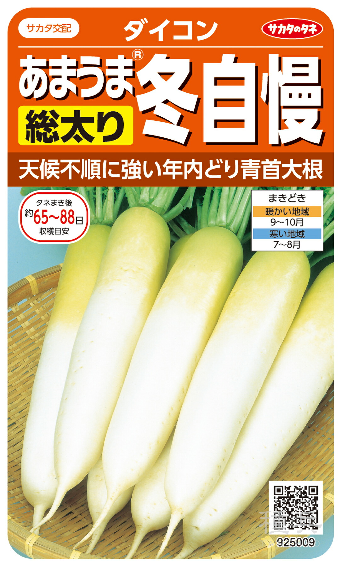 ダイコン 種 『冬自慢』 サカタのタネ