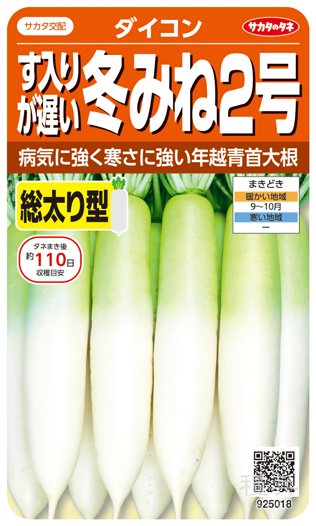 ミニ清白 種 『冬みね2号』  サカタのタネ