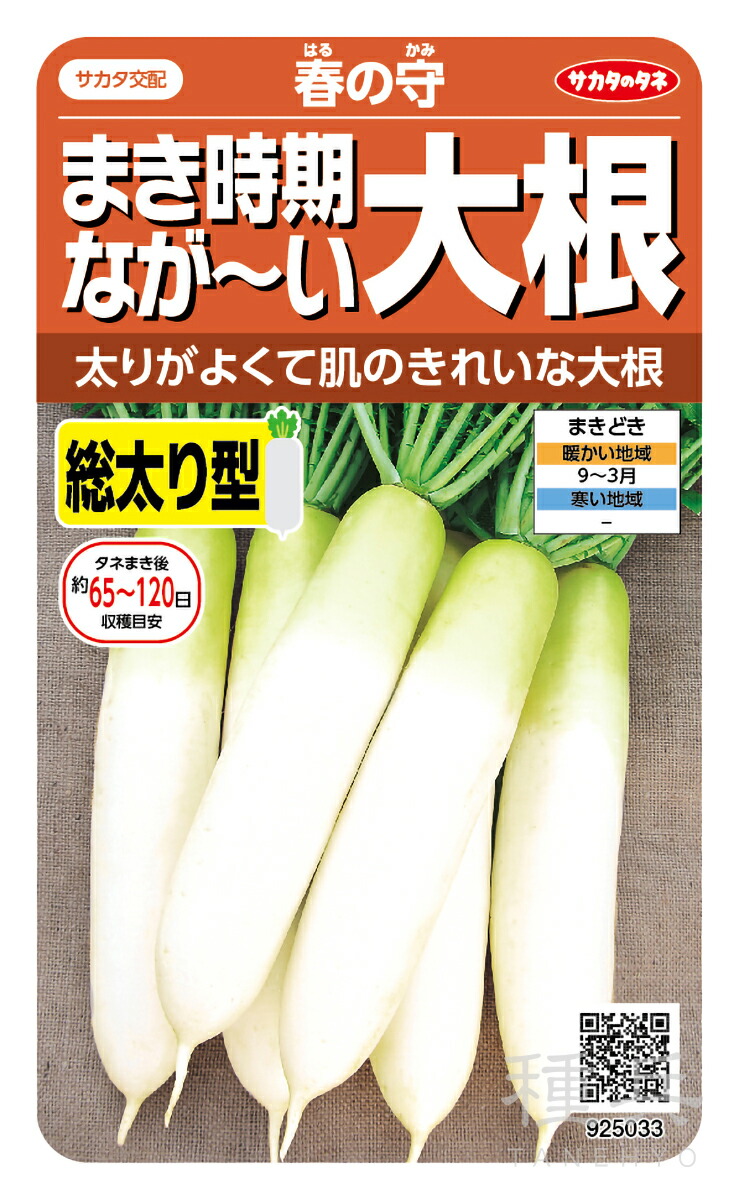 青首清白 種 『春の守』  サカタのタネ
