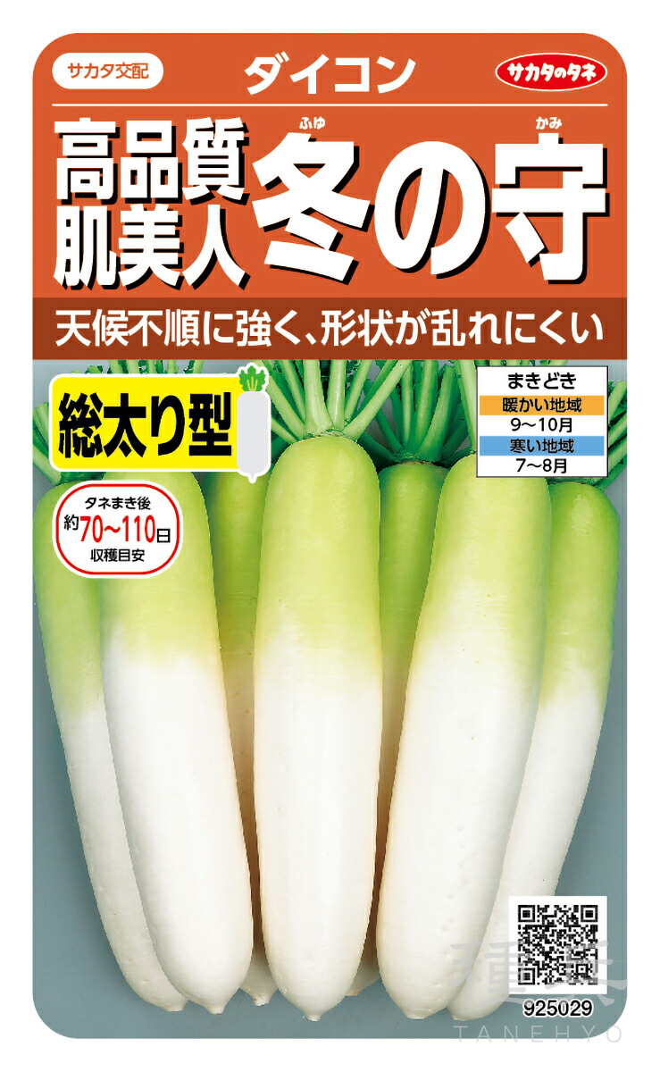 楽天市場】野菜種子 ダイコン「冬自慢」 10ml（約300粒）／15ml／50ml