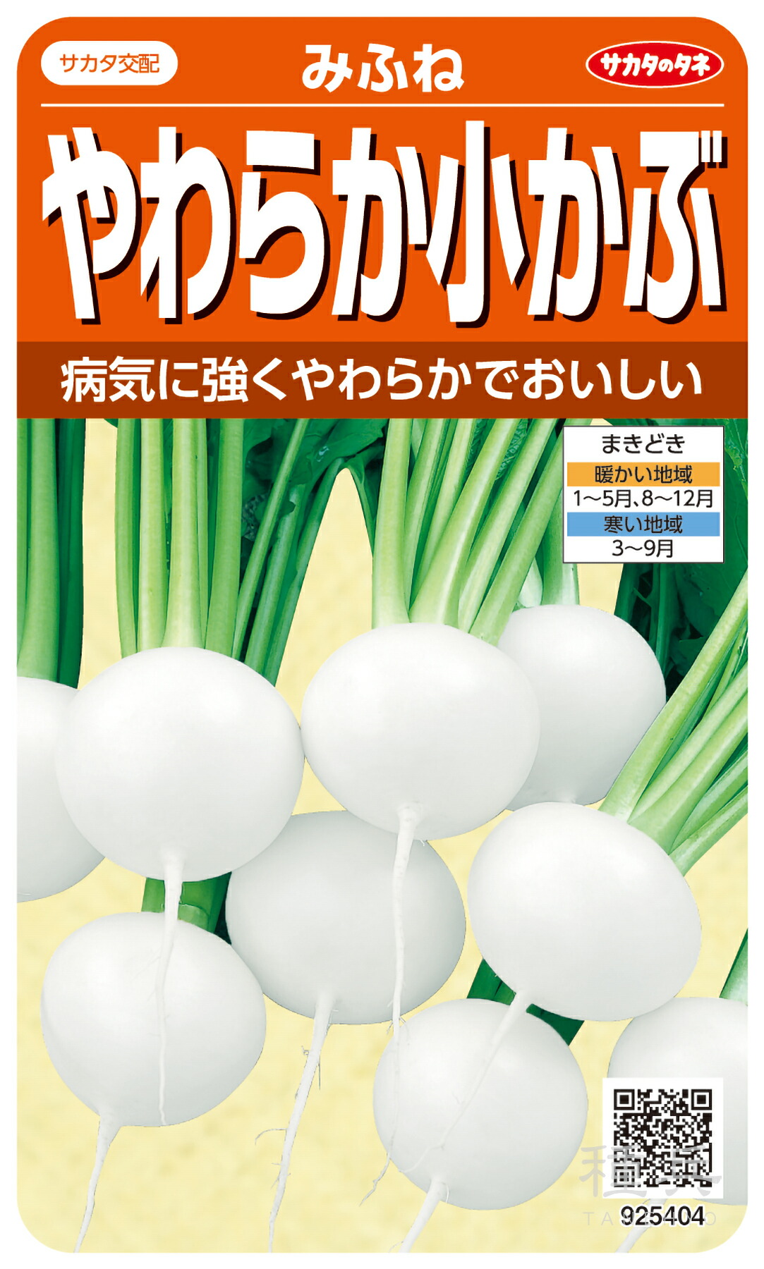 小小僧 種 『みふね』  サカタのタネ
