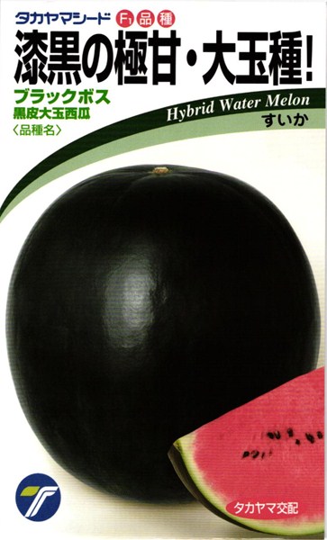 楽天市場 黒皮スイカ 種 ブラックボス 小袋 10粒 タカヤマシード 種兵ネットショッピング