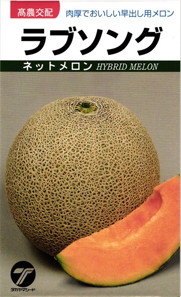 楽天市場 メロン 種 ラブソング タカヤマシード 100粒 種兵ネットショッピング