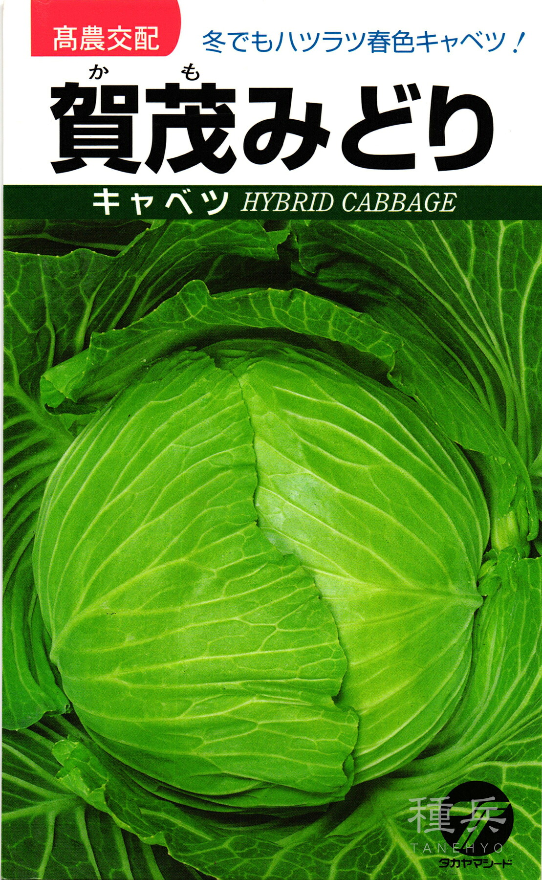 球菜 種 『賀茂みどり』  タカヤマシード