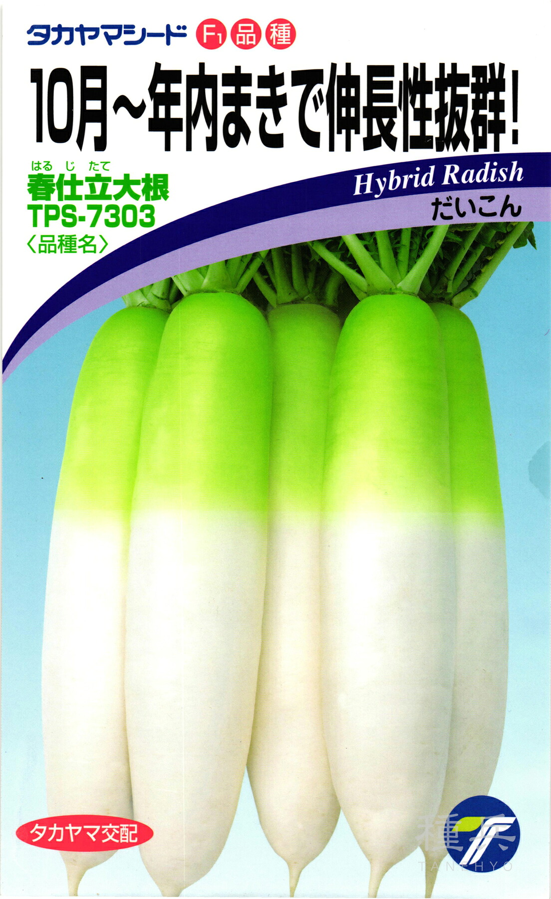 清白 種 『春仕立てもの大根役者』  タカヤマシード