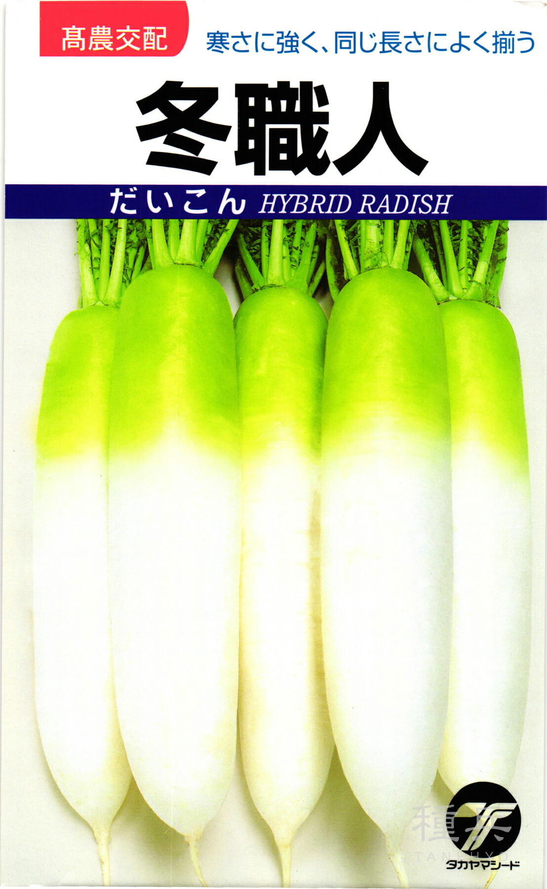 ダイコン 種 『冬職人』 タカヤマシード