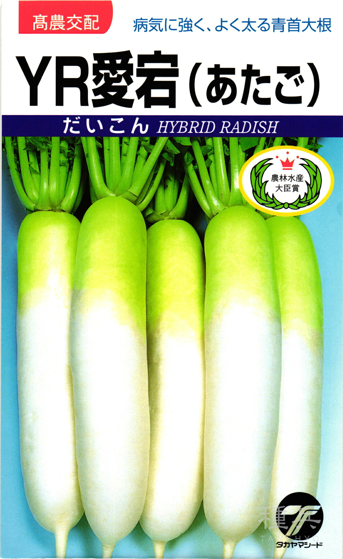 清白 種 『YR愛宕』  タカヤマシード