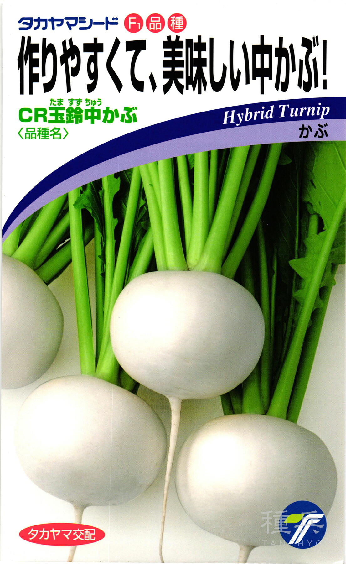 カブ 種 『CR玉鈴中かぶ』 タカヤマシード