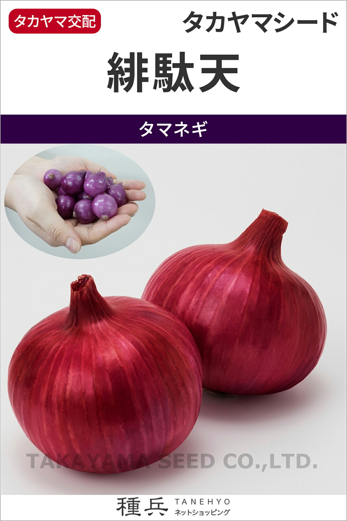 楽天市場】赤玉ねぎ 種 『猩々赤』 ATA041 タキイ種苗 : 種兵ネット