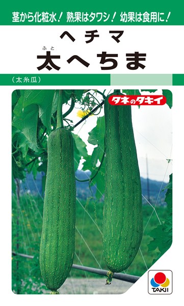 楽天市場 ヘチマ 種 太へちま 500粒 タキイ種苗 種兵ネットショッピング