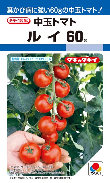 81%OFF!】 野菜の種 種苗 トマト 21粒 メール便発送 シンディー 