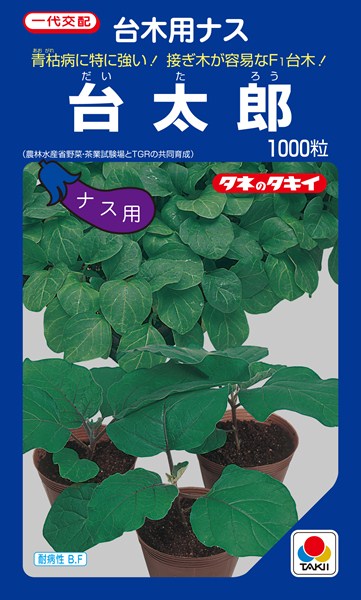 楽天市場 ナス台木 種 台太郎 Ana035 タキイ種苗 1000粒 種兵ネットショッピング