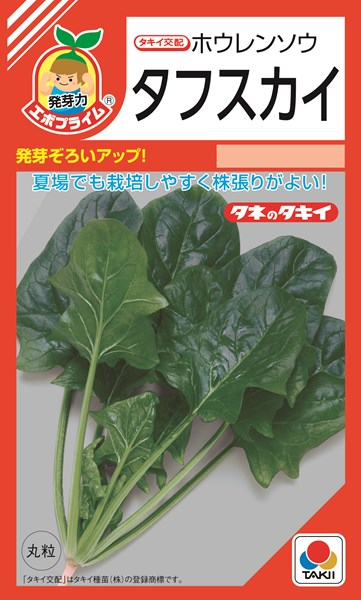 楽天市場 ホウレンソウ 種 タフスカイ Asp05a タキイ種苗 Am3万粒 ｴﾎﾞﾌﾟﾗｲﾑ 種兵ネットショッピング