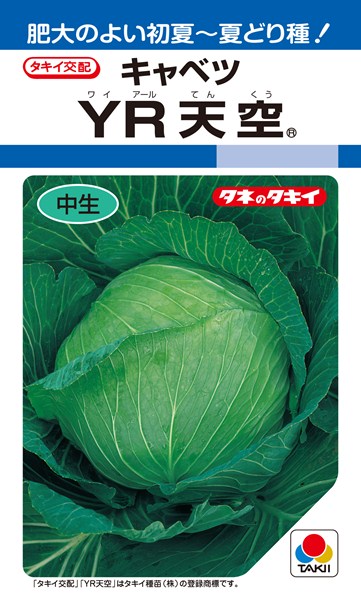 楽天市場 初夏どりキャベツ 種 Yr天空 1 4ml Df タキイ種苗 種兵ネットショッピング