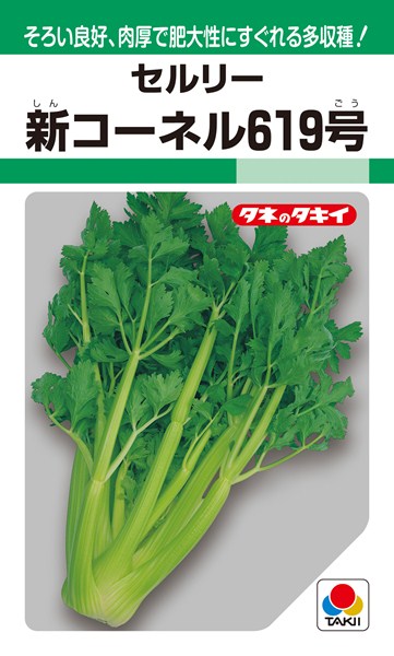 楽天市場 セロリ セルリー トップセラー タキイ交配 0 8ml 野菜種 春まき 秋まき Rf Hana Uta 米沢園芸 楽天市場店