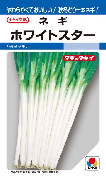 楽天市場 根深ネギ 種 ホワイトスター Ane054 タキイ種苗 ペレット2l5000粒 種兵ネットショッピング