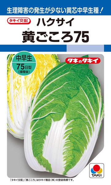 タキイ種苗 種兵ネットショッピング 野菜の種子 種 種子 黄ごころ75 1dl 黄芯ハクサイ 1dl Ok メール便 白菜 たね