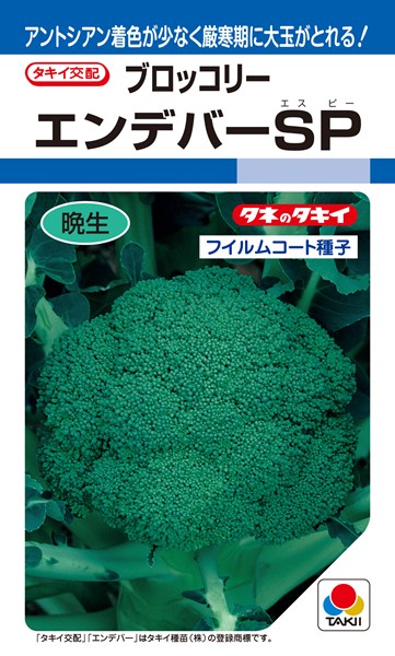 楽天市場】ブロッコリー 種 『チャレンジャー』 ABR024 タキイ種苗/1.2ml(DF) : 種兵ネットショッピング