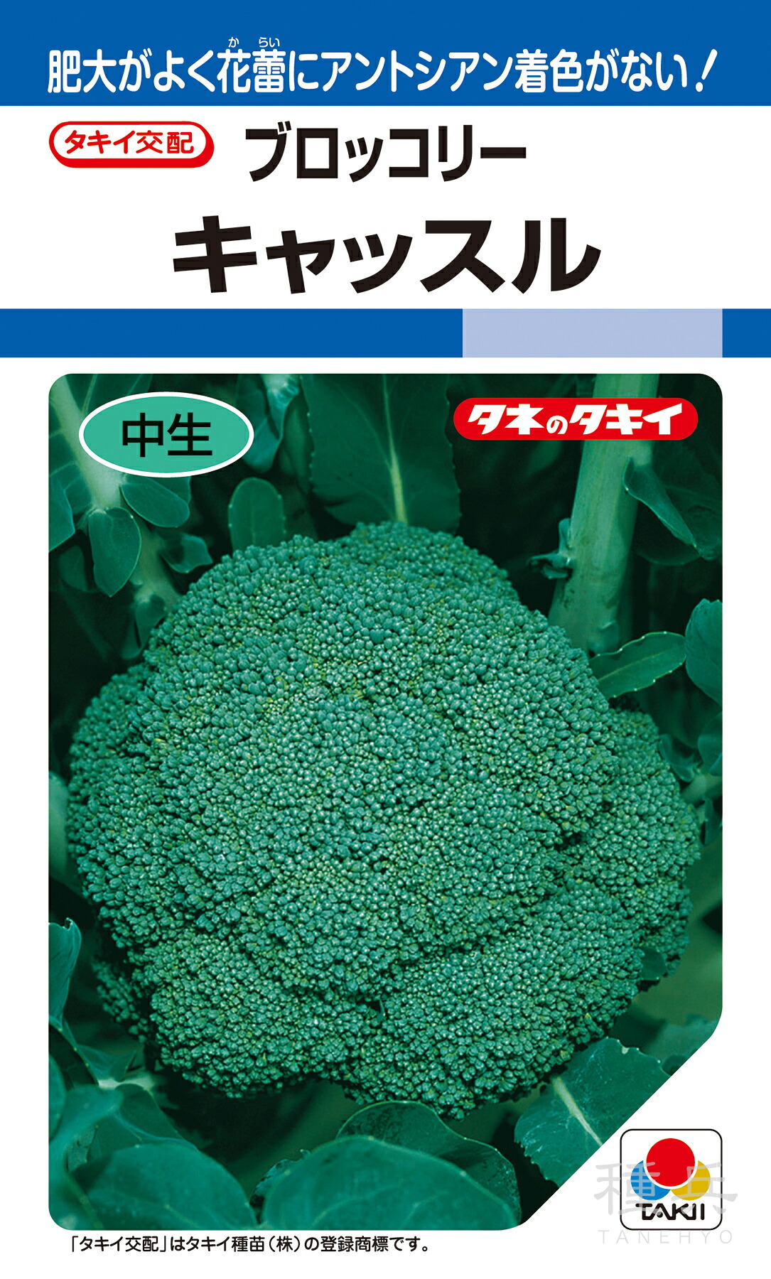 頂花蕾専用種ブロッコリー 種 『キャッスル』 ABR063 タキイ種苗 6,353円