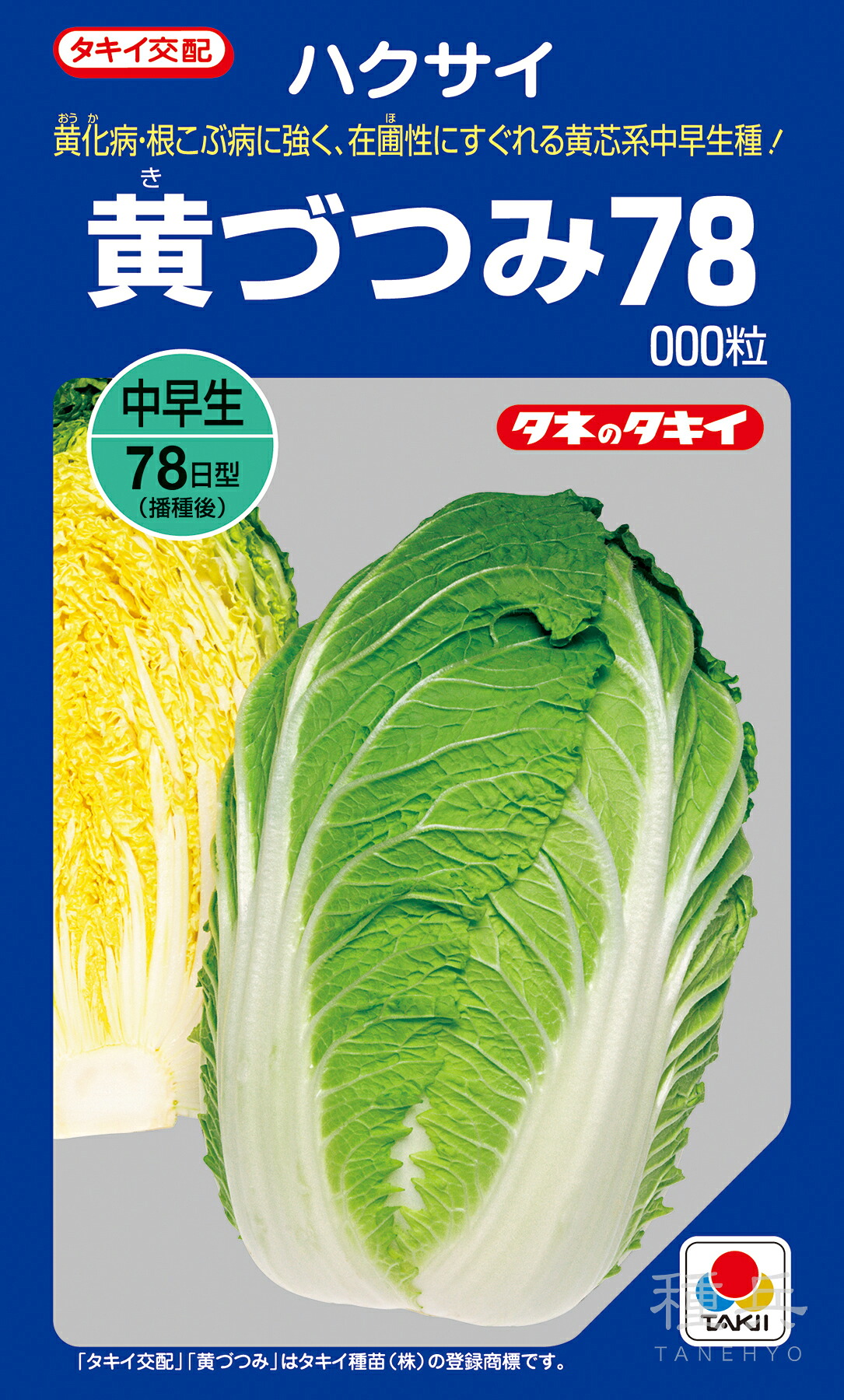 黄芯秋冬どりハクサイ 種 『黄づつみ78』 AHA07M タキイ種苗