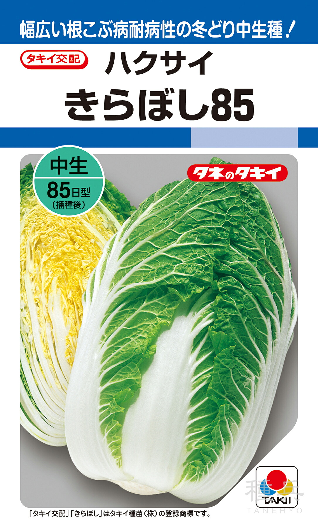 黄芯秋冬どりハクサイ 種 『きらぼし85』 AHA00F タキイ種苗