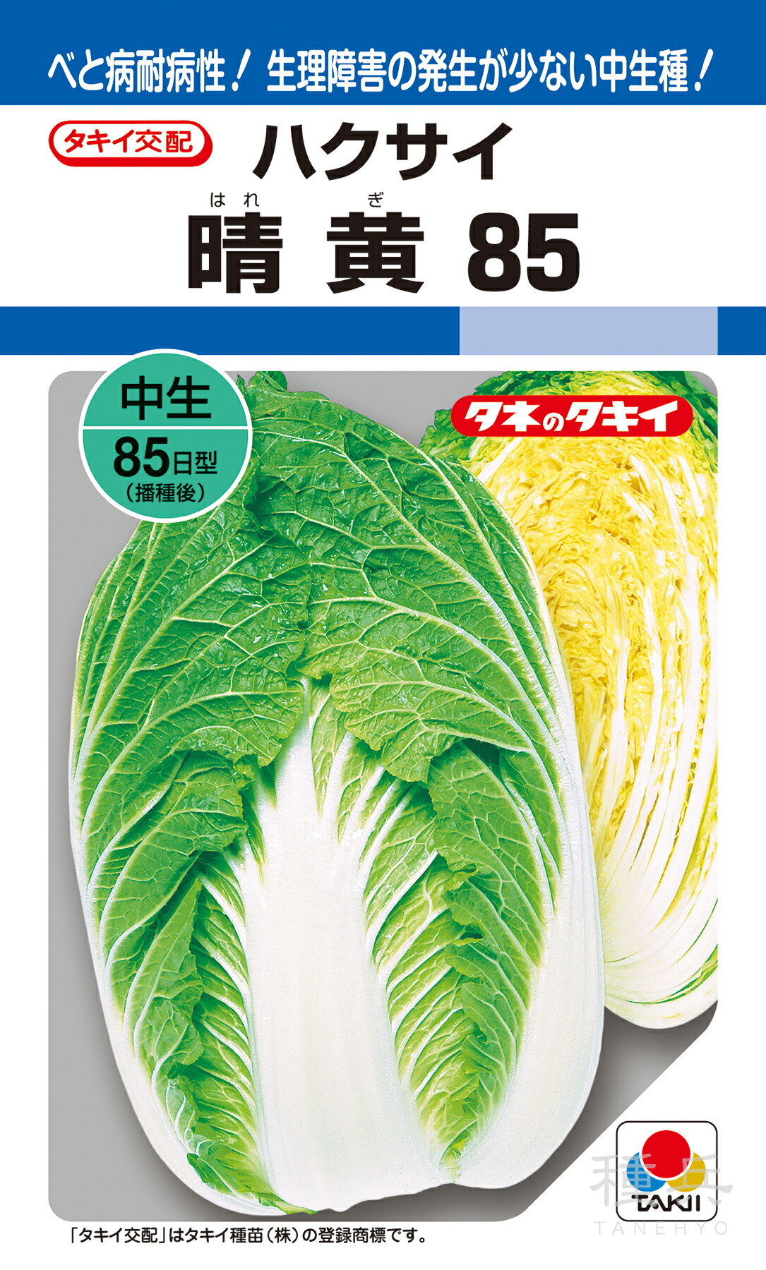 黄芯秋冬どりハクサイ 種 『晴黄85』 AHA067 タキイ種苗