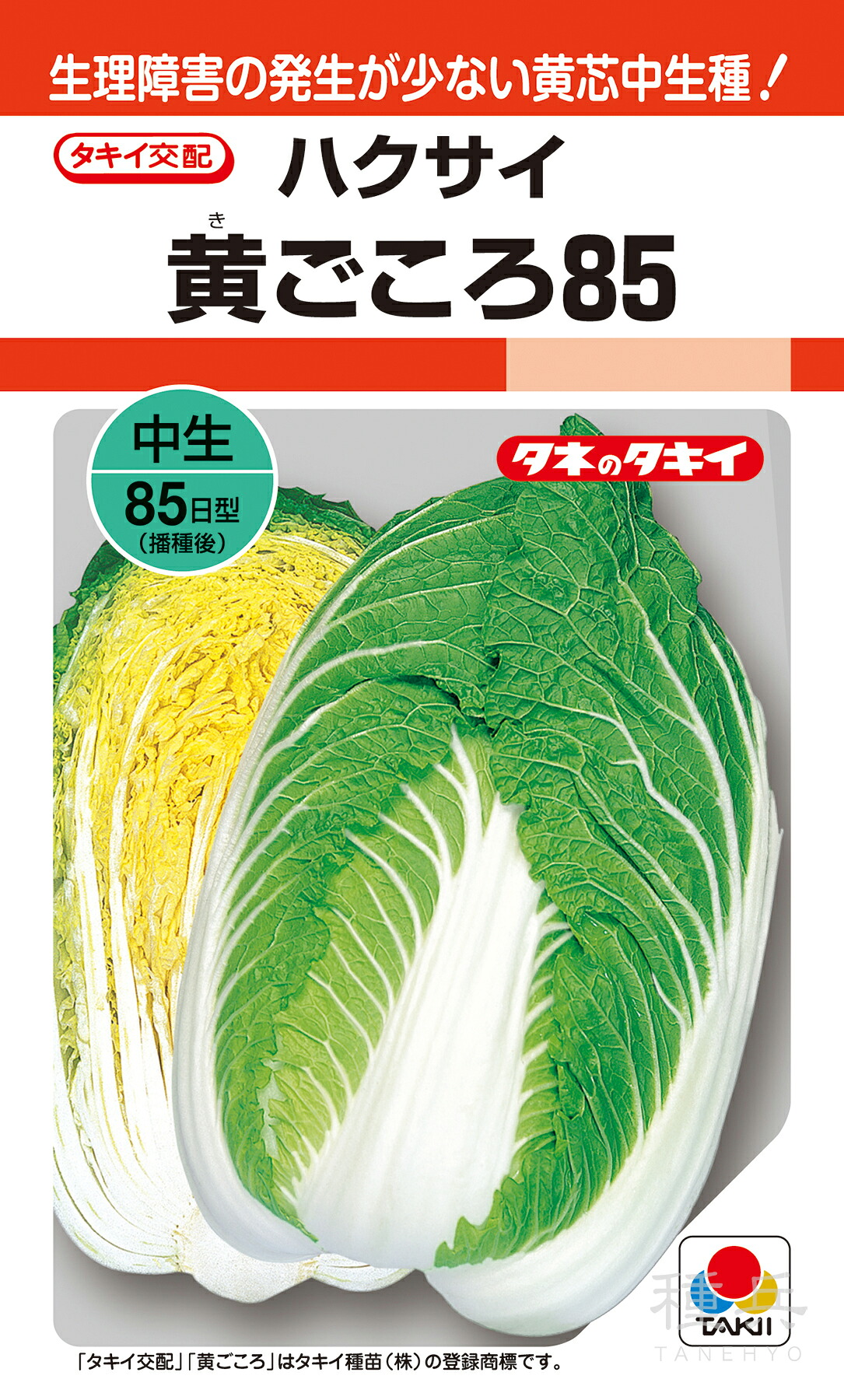 黄芯秋冬どりハクサイ 種 『黄ごころ85』 AHA014 タキイ種苗 ガーデニング・農業-野菜の種子-花・ガーデン・DIY