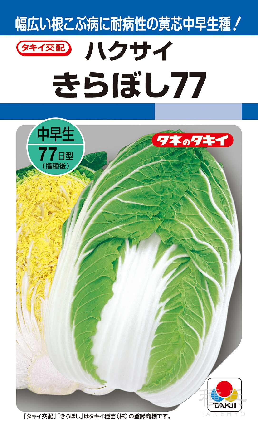 黄芯秋冬どりハクサイ 種 『きらぼし77』 AHA023 タキイ種苗
