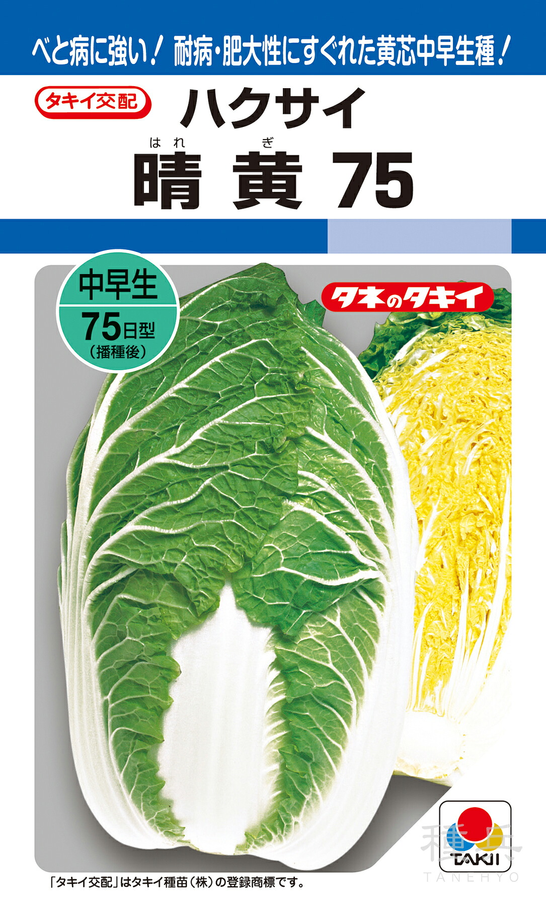 黄芯秋冬どりハクサイ 種 『晴黄75』 AHA00X タキイ種苗