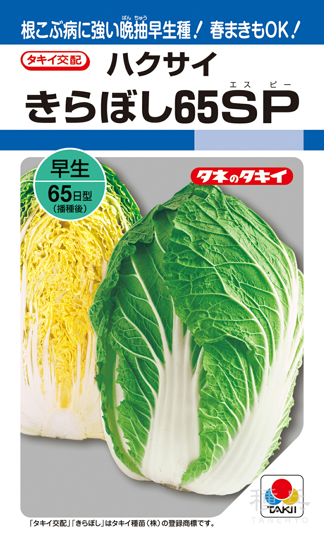 黄芯秋冬どりハクサイ 種 『きらぼし65SP』 AHA081 タキイ種苗