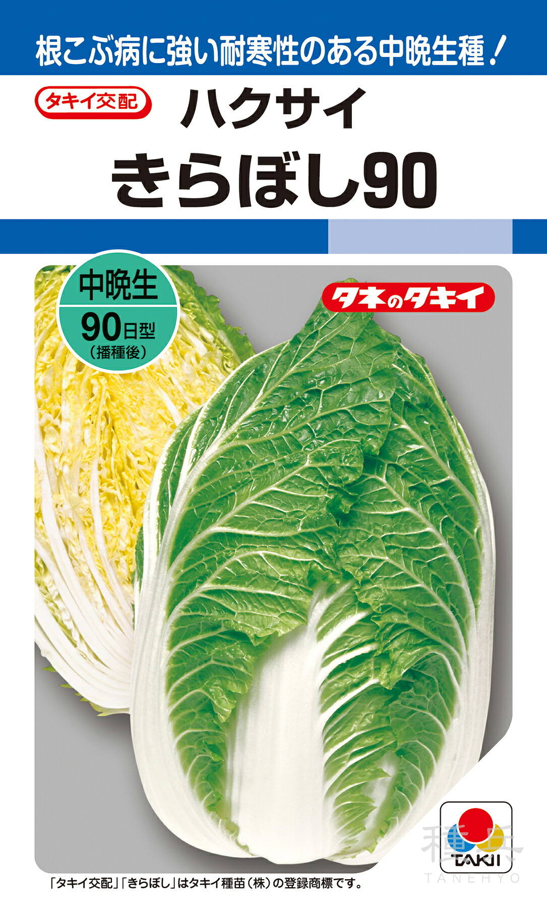 黄芯冬どりハクサイ 種 『きらぼし90』 AHA04P タキイ種苗
