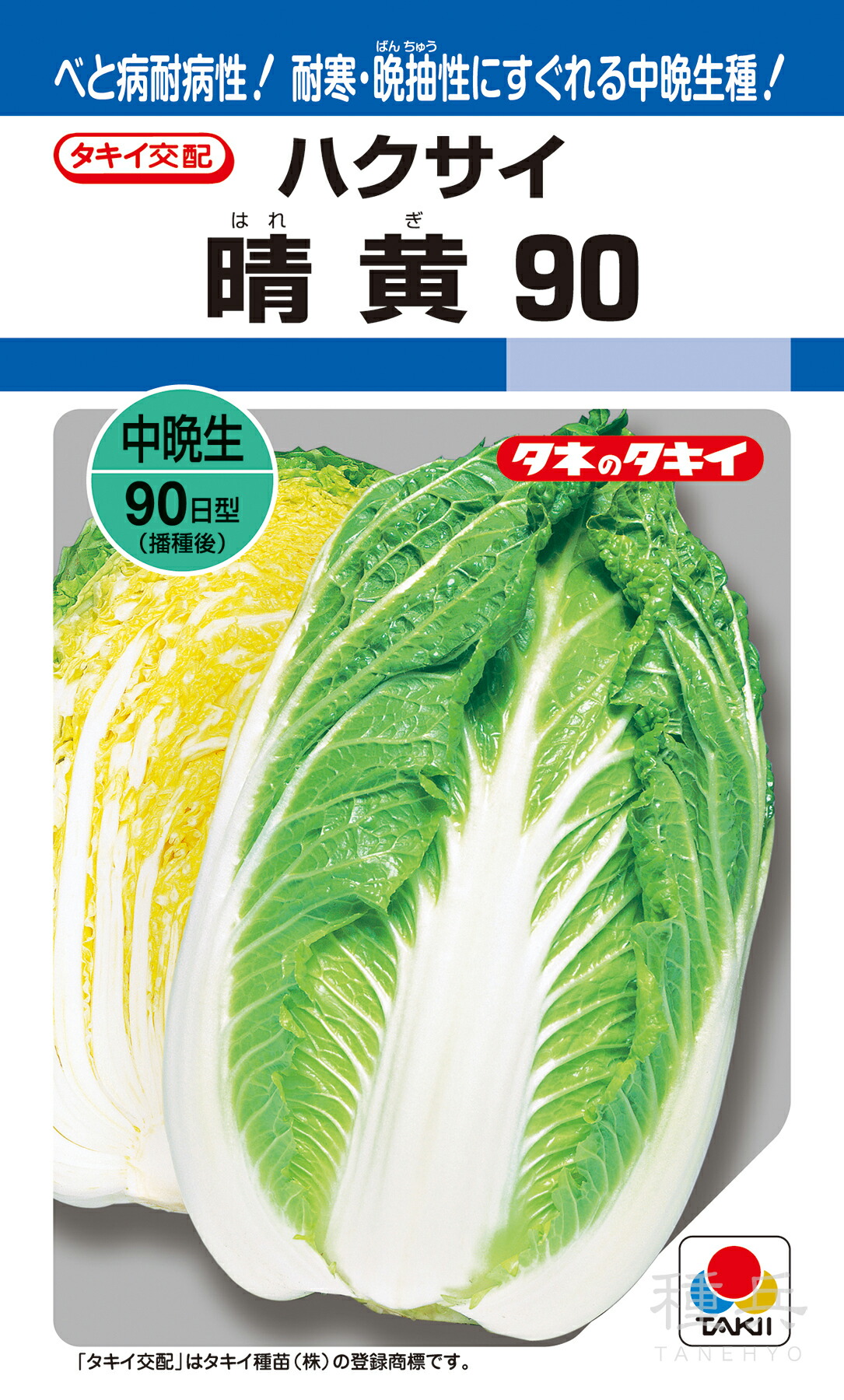 黄芯冬どりハクサイ 種 『晴黄90』 AHA068 タキイ種苗 種子-花・ガーデン・DIY-ガーデニング・農業