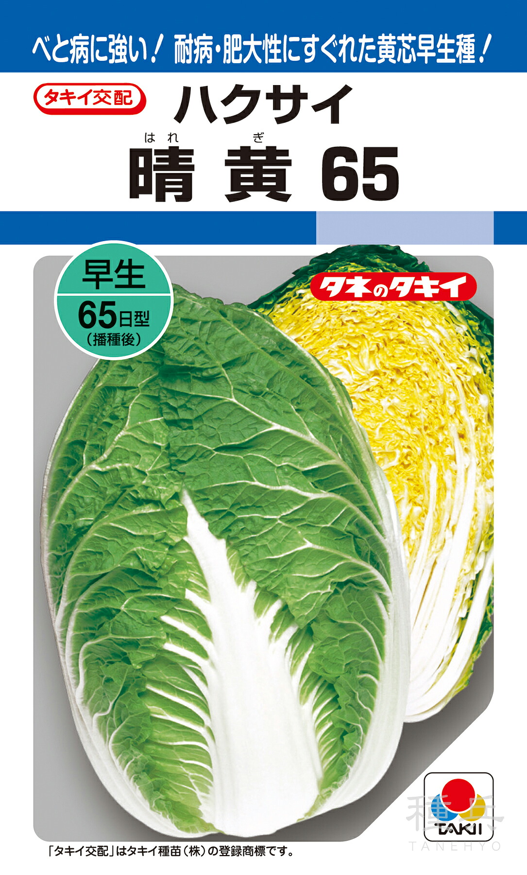 黄芯秋どりハクサイ 種 『晴黄65』 AHA00Y タキイ種苗